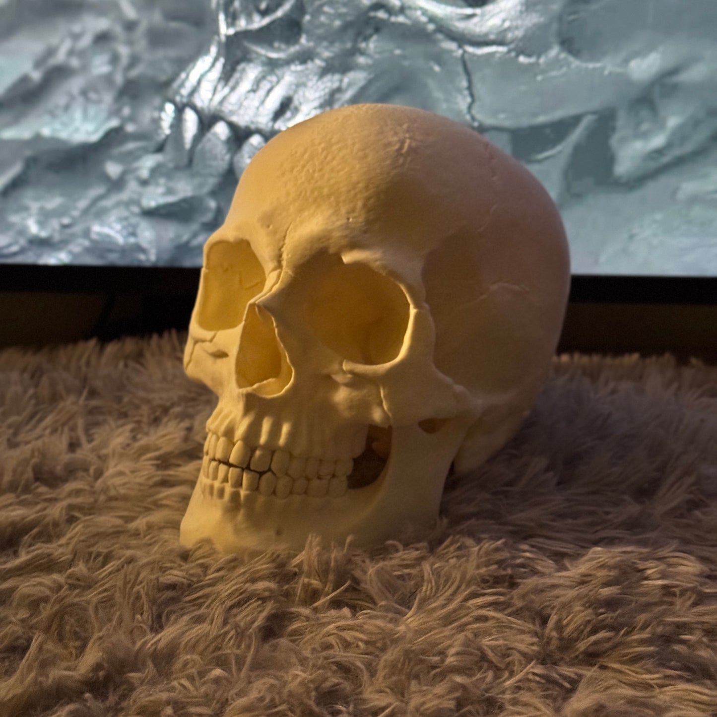 Human Skull Collectible