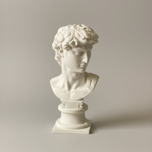 Eternal Elegance: Michelangelo's David Bust