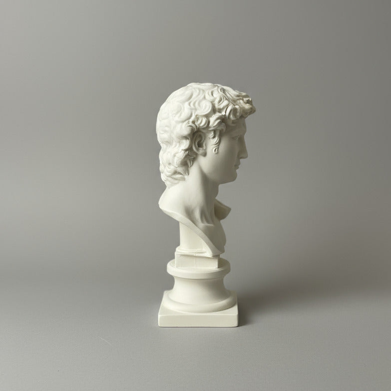 Eternal Elegance: Michelangelo's David Bust