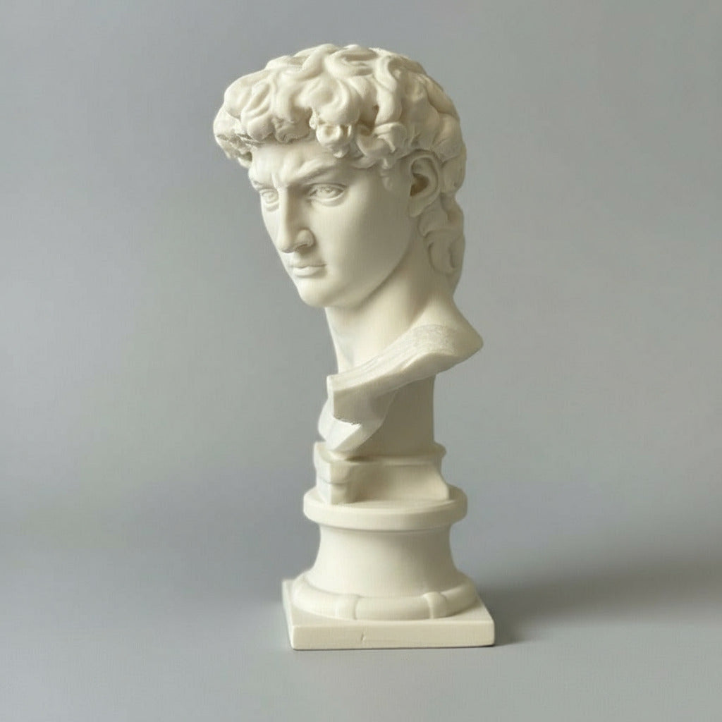Eternal Elegance: Michelangelo's David Bust
