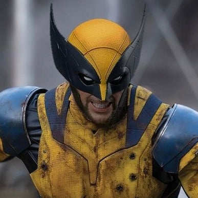 Wolverine Mask