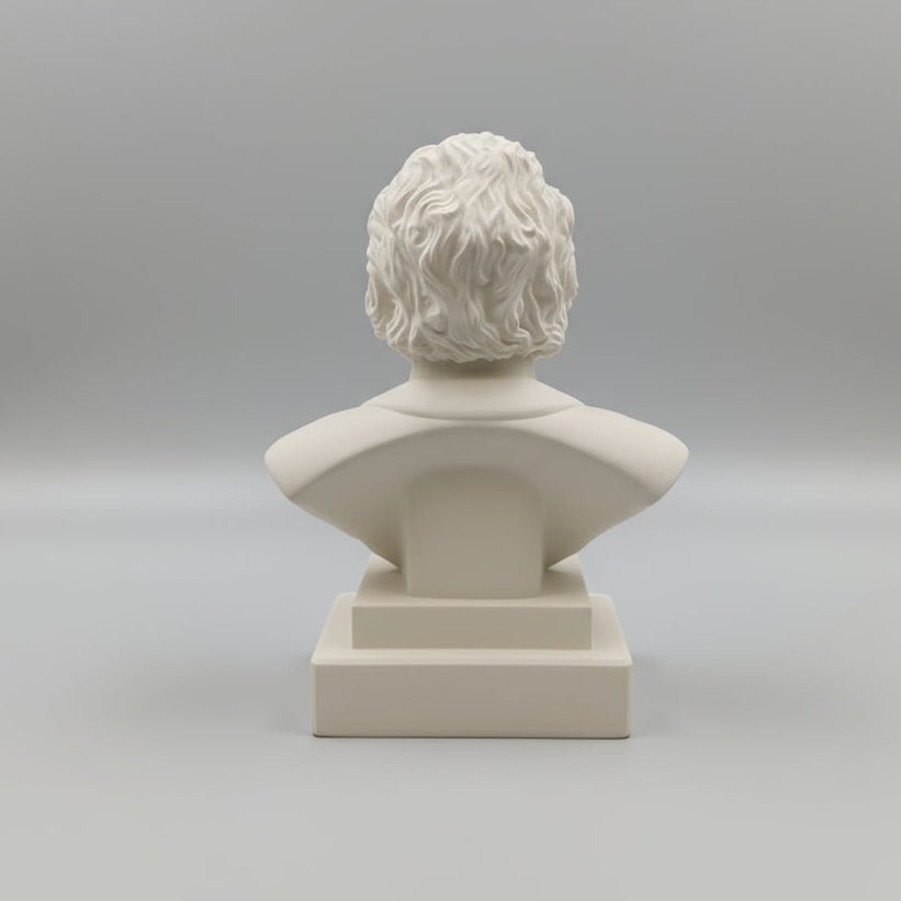 Albert Einestein Bust - Bust