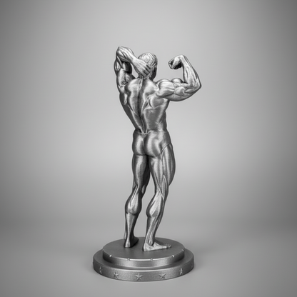 Bodybuilder Statue - 288° Rotation